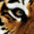 Предпросмотр схемы вышивки «тигр» (№517266)