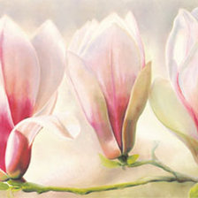 Схема вышивки «магнолия»