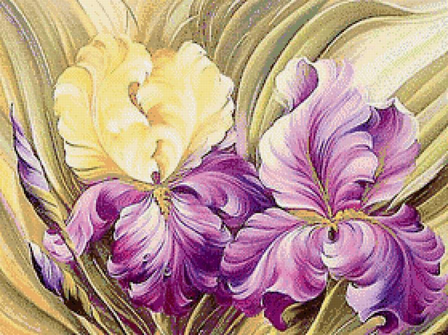 Пара ирисов (живопись) - пара, живопись, цветы, акварель, ирисы - предпросмотр