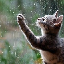 Схема вышивки «За стеклом»