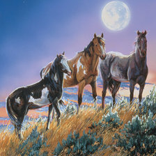 Схема вышивки «Степные красотки»