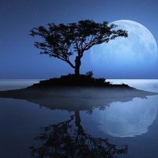 Схема вышивки «Одинокое дерево»