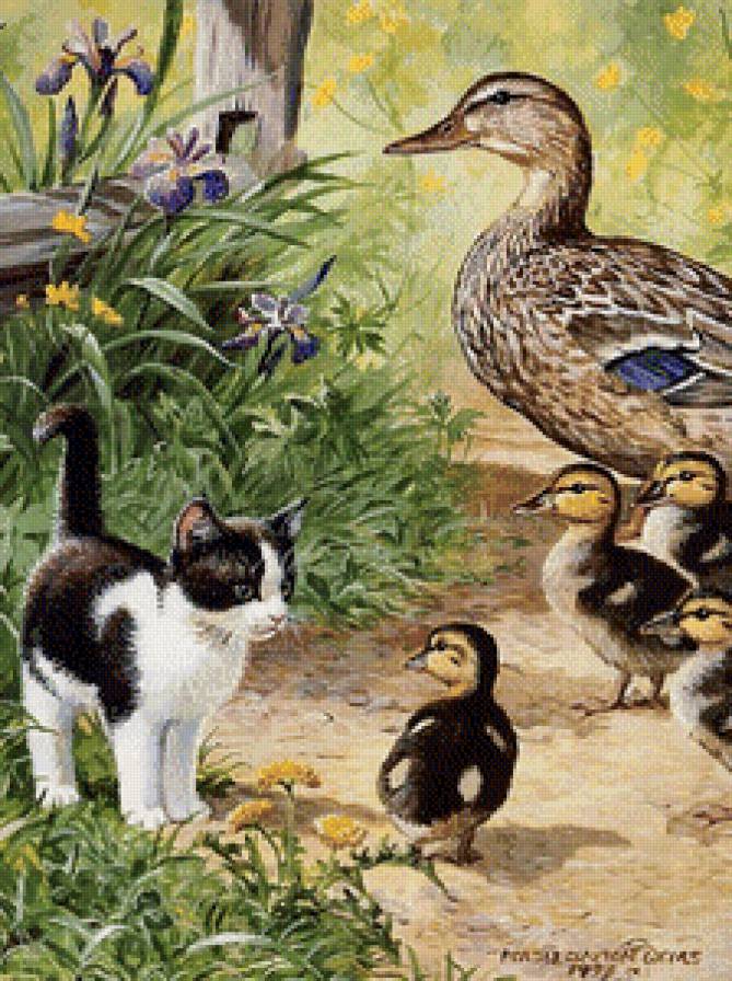Котёнок и утята - село, животные, кошки - предпросмотр