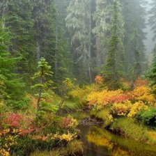 Схема вышивки «В лесу»