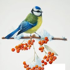 Схема вышивки «Ветка рябины»