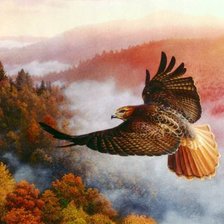 Схема вышивки «Полет»