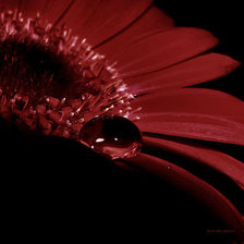 Схема вышивки «Капля»