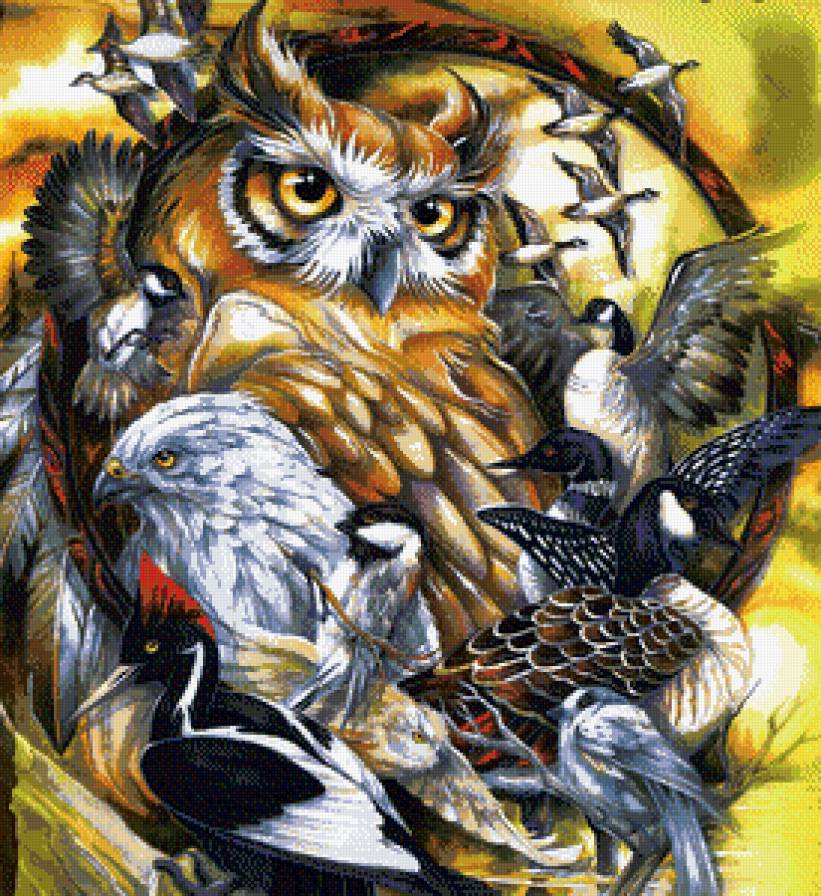 Тотем 1 - орлы, цапли, утки, ястребы, соколы, птицы, синицы, совы - предпросмотр