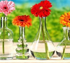 Схема вышивки «№517646»