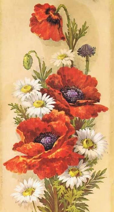 маки - цветы - оригинал