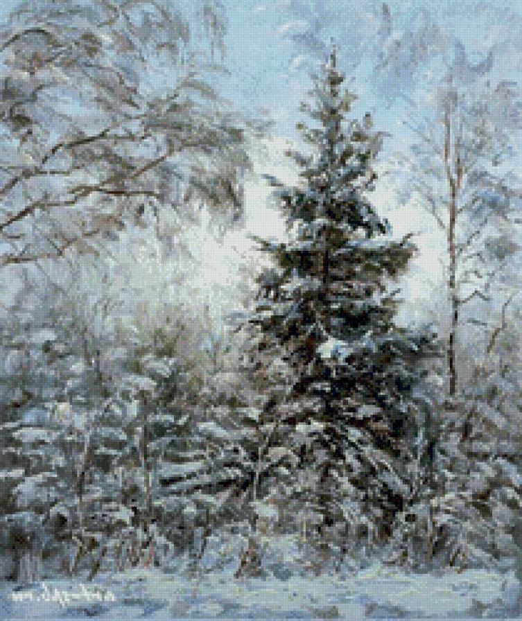 заснеженая ель - зима, новый год, снег, природа, елка, лес, праздник, рождество, ель - предпросмотр