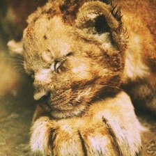 Схема вышивки «малыш спит»