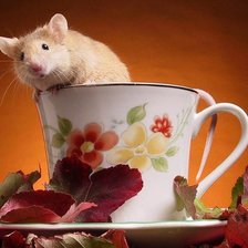 Схема вышивки «мыша»