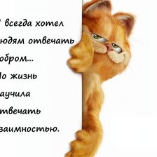 Схема вышивки «гарфилд»