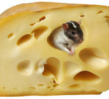 мышка в сыре