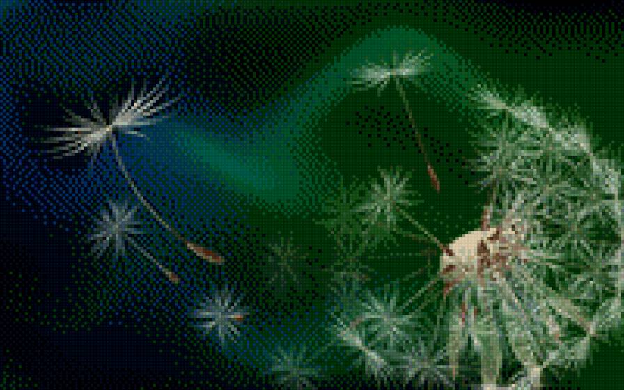 одуванчик - предпросмотр