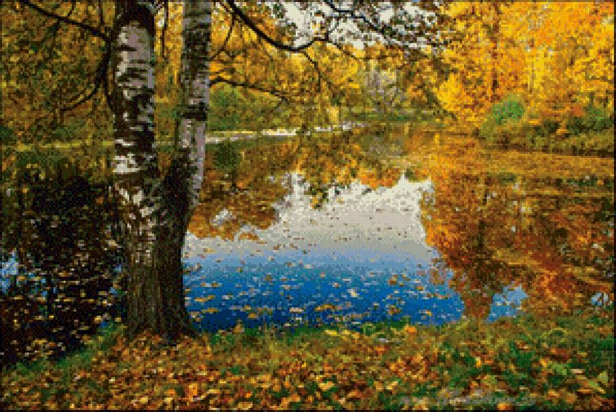 Осенний пруд - осень, лес, пруд, листья - предпросмотр