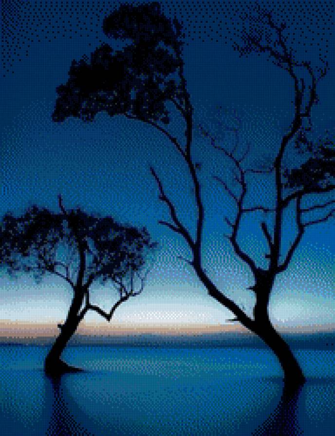 Деревья в воде - вода, деревья - предпросмотр