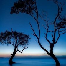 Схема вышивки «Деревья в воде»