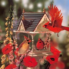 Схема вышивки «красивые птички»