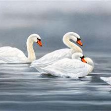 Схема вышивки «№518291»