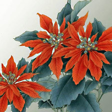 Схема вышивки «пуансентия»