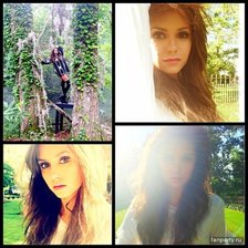 Схема вышивки «нина добрев»