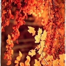 Схема вышивки «№518472»