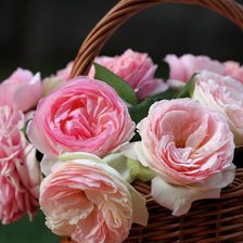 Схема вышивки «корзина с розами»