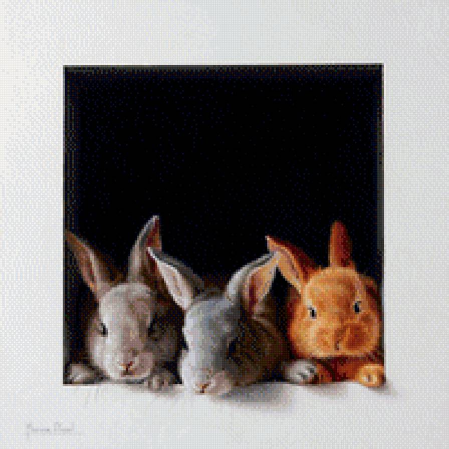 кролики - животные - предпросмотр