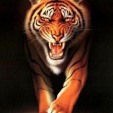 Схема вышивки «тигр»