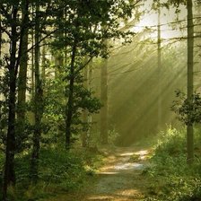 Схема вышивки «№518543»