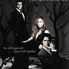 Схема вышивки «дневники вампира»