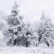 Схема вышивки «зима монохром»