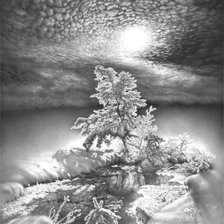 Схема вышивки «зима монохром 2»