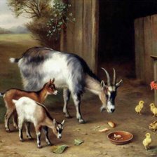 Схема вышивки «на село»