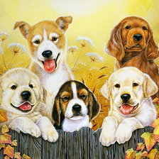 Схема вышивки «домашние любимцы»