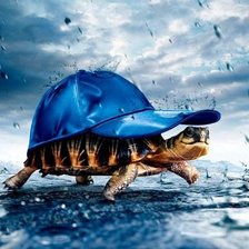 Схема вышивки «черепаха»