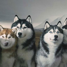 Схема вышивки «№518919»