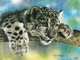 белый леопард - леопард - оригинал