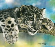 Схема вышивки «белый леопард»