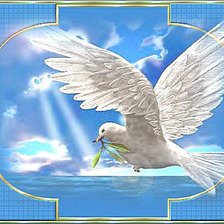 Голубь мира