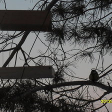 Схема вышивки «№518978»