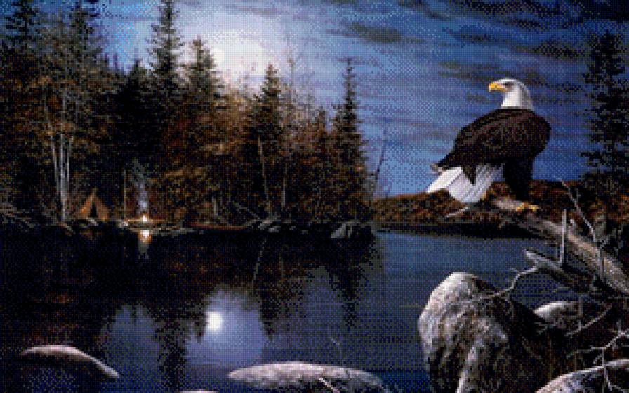 Ночь на озере - озеро, птицы, орлы, пейзаж, горы - предпросмотр