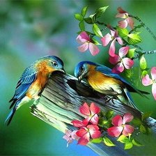 Схема вышивки «птички»