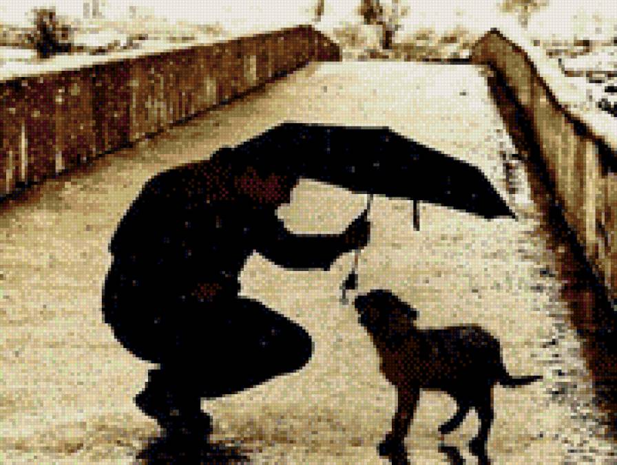 547468585589 - человек, собака, зонтик - предпросмотр