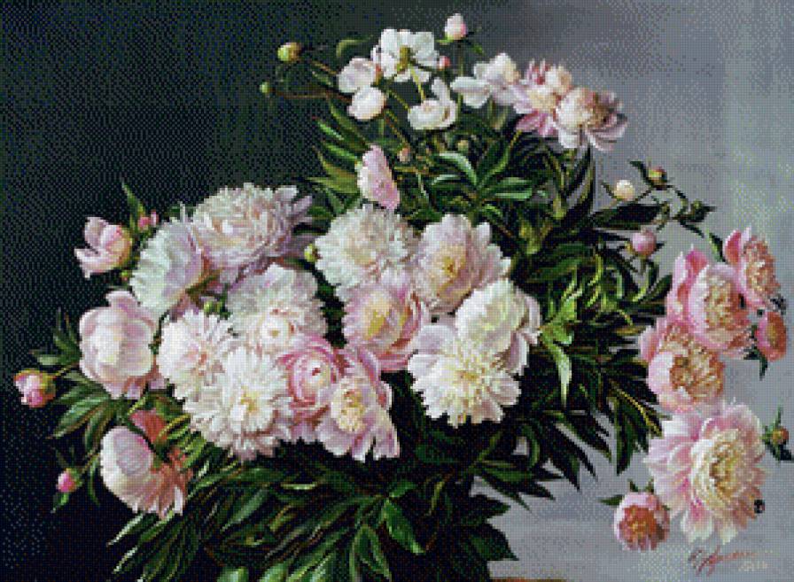 Пионы - пионы, натюрморт, цветы - предпросмотр