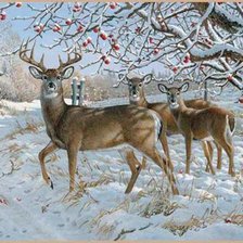 Схема вышивки «олени в зимнем саду»