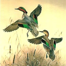 Схема вышивки «№519420»