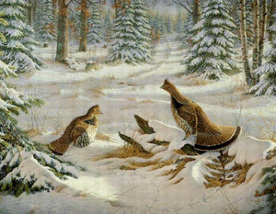 тетерева зима - лес, глухарь, птицы, природа, снег, зима, новый год, тетерев, пейзаж - предпросмотр